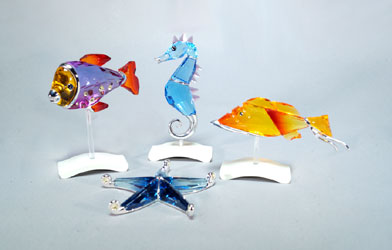 Tropical Fish